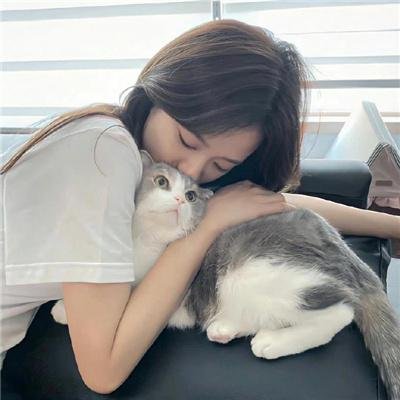 妙警贼探第四季